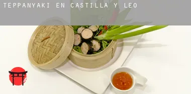 Teppanyaki en Castilla y León