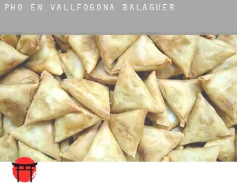 Pho en  Vallfogona de Balaguer