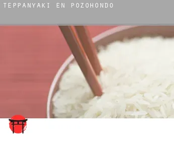 Teppanyaki en  Pozohondo