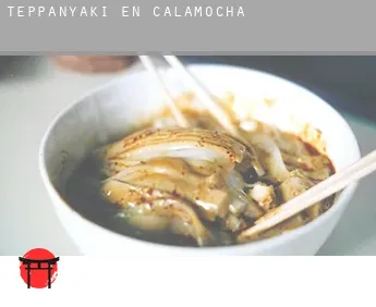 Teppanyaki en  Calamocha