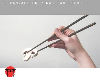 Teppanyaki en  Peñas de San Pedro