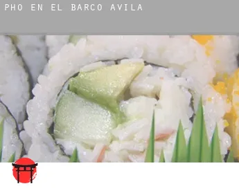 Pho en  El Barco de Ávila