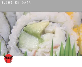 Sushi en  Gata