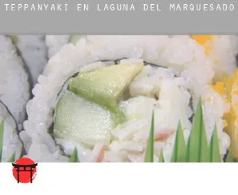 Teppanyaki en Laguna del Marquesado