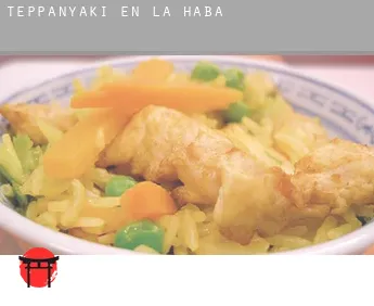 Teppanyaki en  La Haba