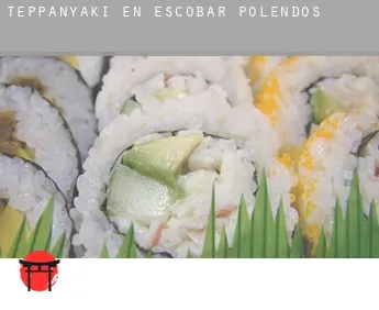 Teppanyaki en  Escobar de Polendos