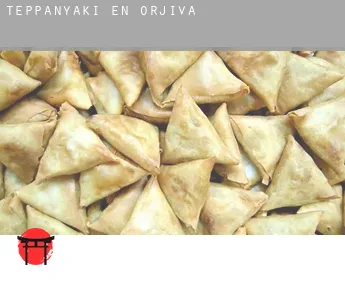 Teppanyaki en  Órjiva