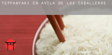 Teppanyaki en Ávila de los Caballeros