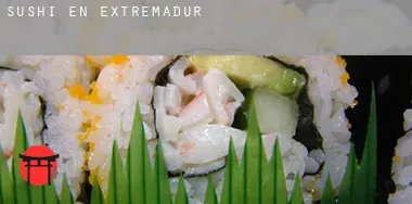 Sushi en Extremadura