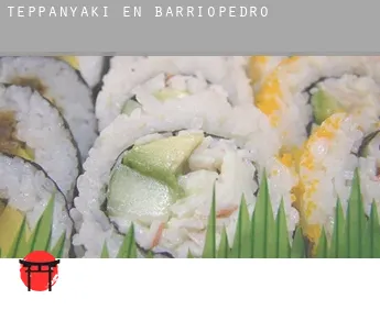 Teppanyaki en Barriopedro