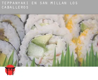 Teppanyaki en  San Millán de los Caballeros