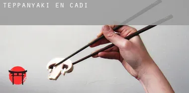 Teppanyaki en Cádiz