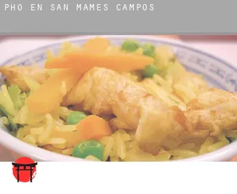 Pho en  San Mamés de Campos