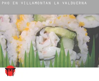 Pho en  Villamontán de la Valduerna