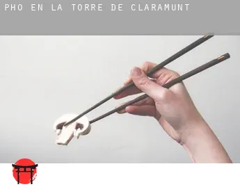 Pho en  la Torre de Claramunt
