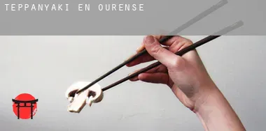 Teppanyaki en  Ourense