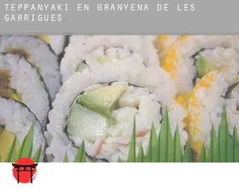 Teppanyaki en  Granyena de les Garrigues