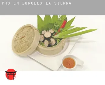 Pho en  Duruelo de la Sierra