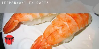 Teppanyaki en Cadiz